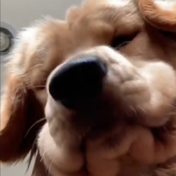 Meet your Posher, Edward - Picture 1 of 1